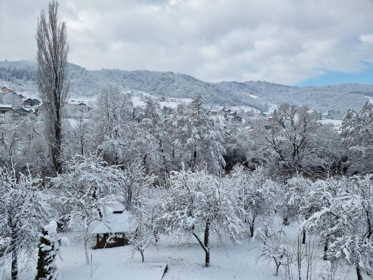 Villa Srce 2